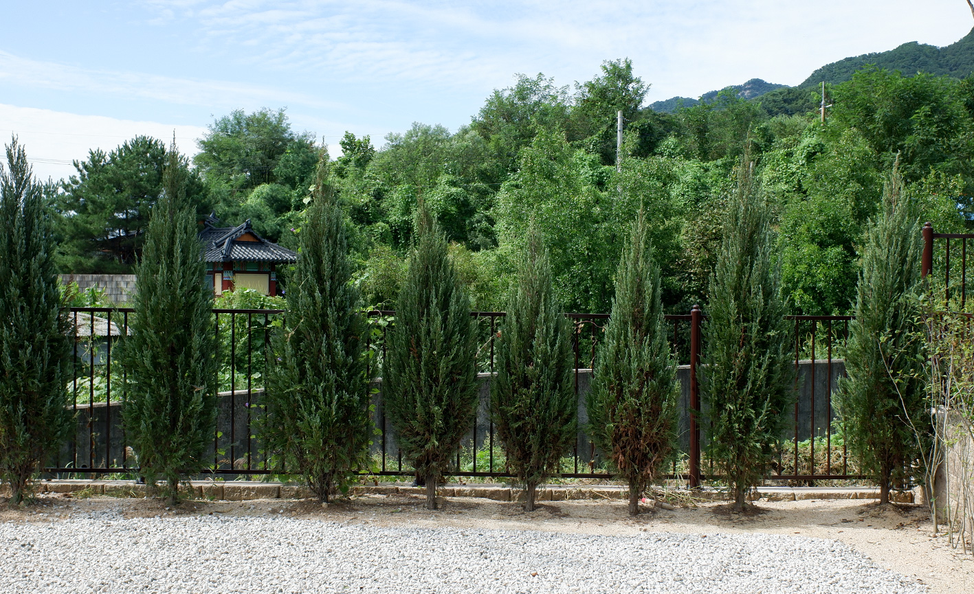 캠핑풍경마을6차